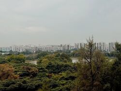 Blk 333 Kang Ching Road (Jurong West), HDB Executive #568297921